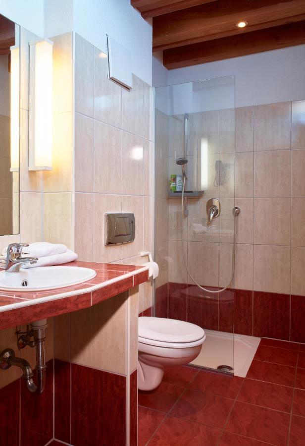 Luxusapartment Burgschaenke Kaiserslautern Kültér fotó